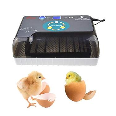 Imagem de LMJYU Incubadora de 12 ovos, mini controle automático inteligente de umidade de temperatura para chocadeira de galinha, ganso e pato, pássaros,