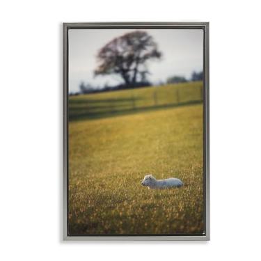 Imagem de Stupell Industries Lamb in Lush Farmland Gray Floater Framed Canvas Wall Art Design por Thomas Tepstad Berge, 21 x 31