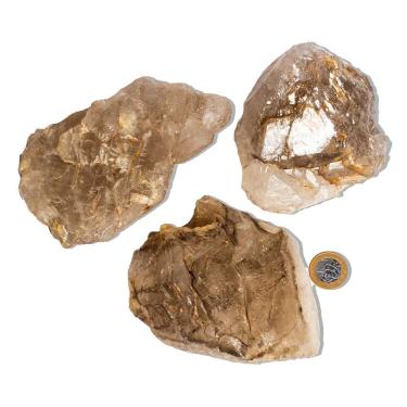 Imagem de 01 Elestial Jacaré Pedra Natural 0,9 a 1Kg 12 a 20cm Tipo B