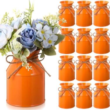 Imagem de Domensi Vaso de flores de metal para casa de fazenda, 12 peças, 12 peças, jarro de leite galvanizado, com arco de barbante, baldes de flores rústicos para mesa floral, centro de mesa, decoração de
