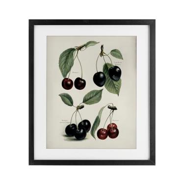 Imagem de Stupell Industries Natural Detailed Cherry Studies Impressão emoldurada preta sob vidro, design por Lettered and Lined, 16 x 13