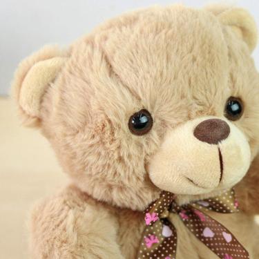 Imagem de Ursinho de Pelúcia Com Laço de Poliéster 23 cm