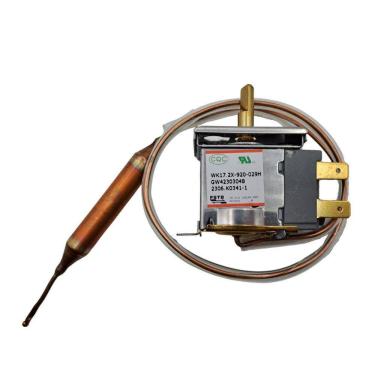 Imagem de Termostato Ar Condicionado Springer Duo 7500-10000 BTUS