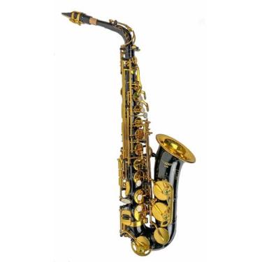 Imagem de Saxofone Alto Mib Preto Com Chaves Douradas Halk