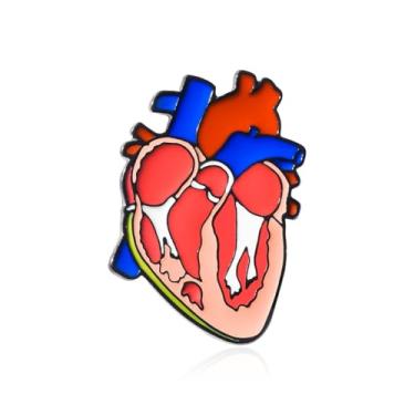 Imagem de Dr's gift Broche de coração anatômico esmaltado design cardíaco lapela broche mochila chapéu crachá joias médicas para cardiologistas enfermeiros entusiastas de biologia, Medium, Zinco, Sem Pedra