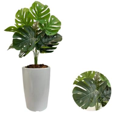 Imagem de Planta Costela de Adão Com Vaso Cone Liso Decorativo Casa - PlantaImpo