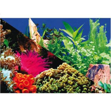 Imagem de Enfeite Painel Imagem Para Aquario Doce Marinho 60x40cm N3 - STEELLPET