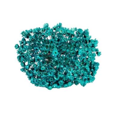 Imagem de 300 Florzinhas Sempre vivas arranjo buquê casamento chá decoração mesa Flor seca preservada(TIFFANY)