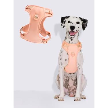 Imagem de Maogoublue Peitoral para cães à prova de fuga, colete ajustável com alça e anéis de coleira duplos, malha acolchoada macia para cães grandes, médios e pequenos, uso ao ar livre