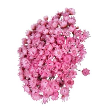 Imagem de Conjunto De Flores Preservadas — Ideal Para DecoraçãO De Interiores, Projetos De Artesanato, LembrançAs E Arranjos Florais(Rosa Bebê,1 buquê (200 florzinhas))