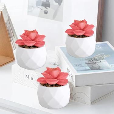 Imagem de 3 peças de suculentas artificiais mini realistas decorativas com detalhes de vegetação dupla para decoração de mesa e prateleira