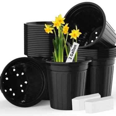 Imagem de BeapTcely Vaso de berçário de 24 peças de 2 galões com etiquetas de plantas, vasos de plástico para sementes com orifício de drenagem para transplante de mudas (24, 2 galões)