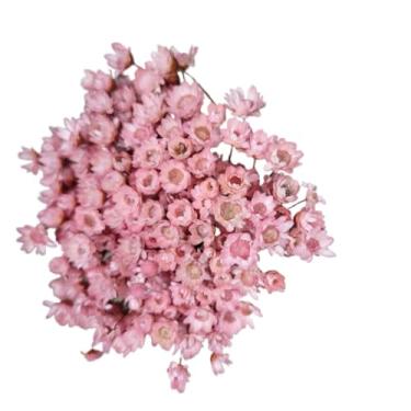 Imagem de Buque de Flores Artificiais Sempre Viva - Kit com 1.600 Flores, Tipo 1 Extra, Arranjo Decorativo para Presentes e Decoração(Rosé,4 buquês (800 florzinhas))
