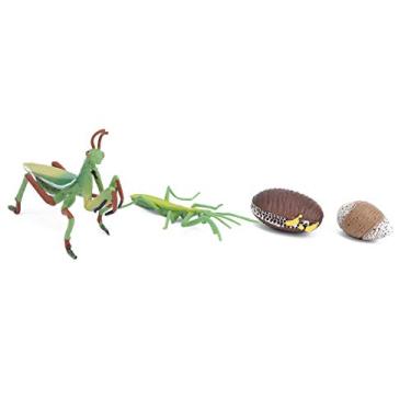 Imagem de Brinquedo para Insetos do Ciclo de Crescimento, Brinquedo para Insetos Poatáveis ​​Inodoros e Inofensivos para o Meio Ambiente, para Brincar Educação Atividades de Ensino Crianças