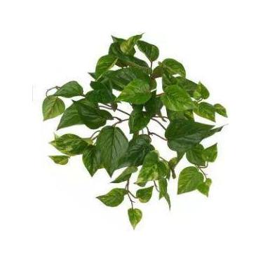 Imagem de Folhagem Artificial Jiboia Verde Amarelo Proteção UV 30cm - FLORESCER 