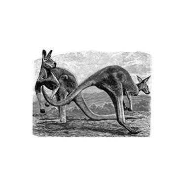 Imagem de e.x.o.b.o | Notizbücher: Umfangreiches und exotisches Blanko-Journal mit einzigartiger Vintage-Handzeichnung (Känguru)