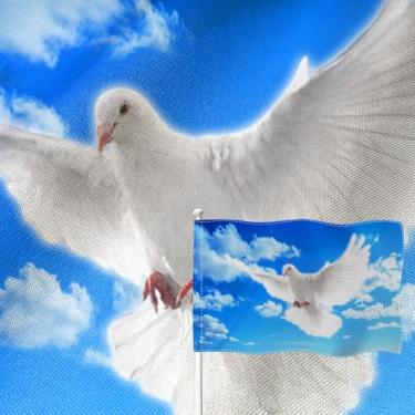 Imagem de YongFoto Bandeira da paz, 0,3 x 0,5 m, serapilheira dupla face, pomba branca, céu azul, quatro lados, costurada, cor brilhante, durável, resistente a UV, resistente ao desbotamento, à prova de