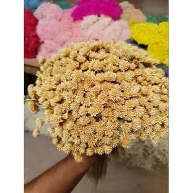 Imagem de Flores Sempre Viva Secas para Decoração – Kit 300 a 2100 Unidades Ideal para Festa Casamento e Arranjos (Botão Espeta Nariz,7 buquês)