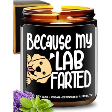 Imagem de Vela engraçada de laboratório