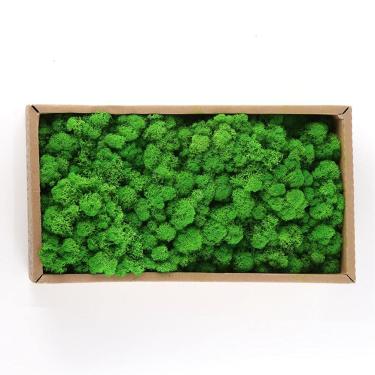 Imagem de Pssopp Rena Preservada Moss Green Moss para Artesanato, Musgo Decorativo para Arranjo Floral, Fabricação de Modelos, Vasos de Plantas (Verde amarelo / 500g)