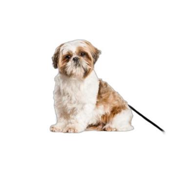 Imagem de Tapete Para Cães Reutilizável Em Oferta 10 Un P 50X60Cm - Shelby Moda 