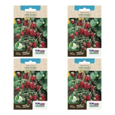 Imagem de Kit 4x Sementes Morango Silvestre Ornamental Frutífera 60mg - Topseed