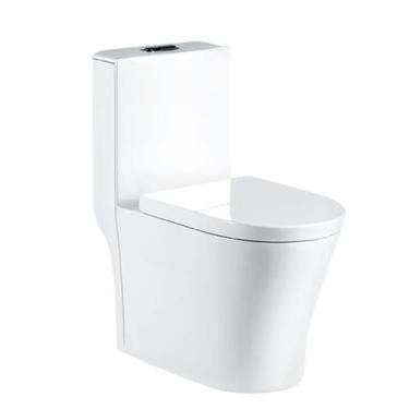 Imagem de Vaso Sanitário Acoplado (monobloco) Smart Norte 275