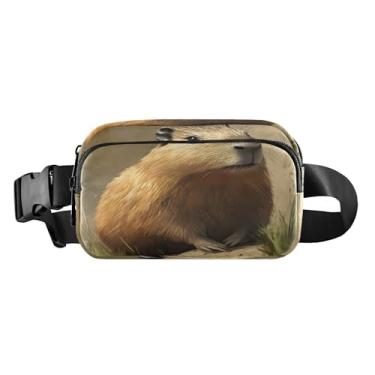 Imagem de CEBUGI Mini pochetes de caminhada para homens e mulheres Groundhog Fashion resistente à água com cinto ajustável para treino, viagem, corrida