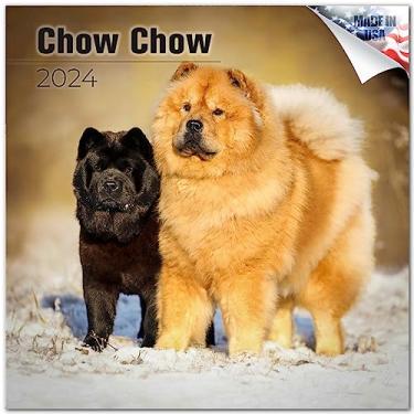 Imagem de Calendário Chow Chow 2022 2023 - Calendário de parede mensal de raça de cachorro - 30,48 x 60,96 cm Aberto - Papel grosso sem sangramento - Presente - Calendário de planejamento de professores acadêmicos Organização e Planejamento - Feito nos EUA