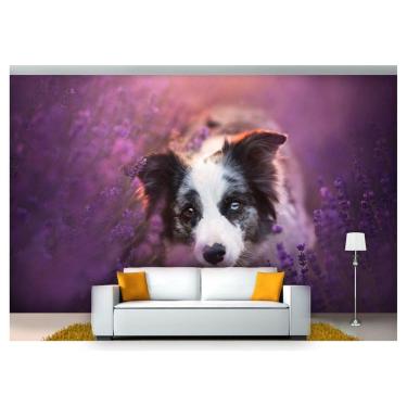 Imagem de Papel De Parede Animais Border Collie Flores  Anm168