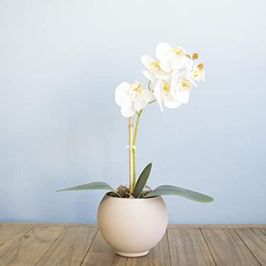 Imagem de Arranjo de Flor Artificial Orquídea Branca no Vaso de Vidro Nude Fosco | Linha Permanente Formosinha