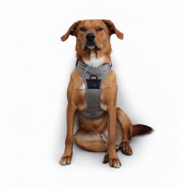 Imagem de Doggie Design Venture Paw Peitoral para cães - Peitoral simples ajustável para filhotes - Coleira antipuxão para cães para caminhadas e aventuras ao ar livre - Sálvia seca, G