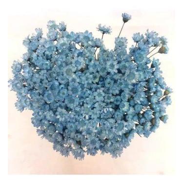 Imagem de Sempre Florzinha Viva Azul Bebê Flores Desidratadas - Tem Flores