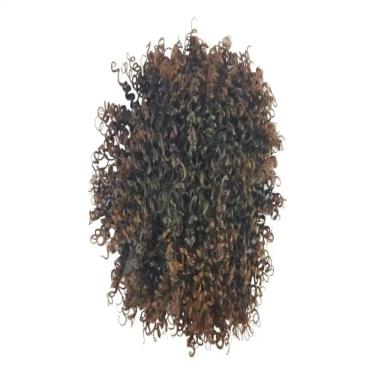 Imagem de Fibra Cherey Coque Afro Puff P90 T1b/33