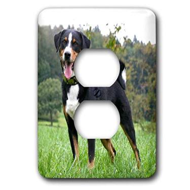 Imagem de 3dRose Capa de tomada com 2 plugues para cães da montanha appenzeller lsp_3967_6