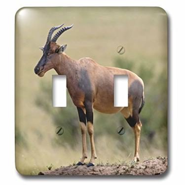 Imagem de 3dRose Lsp_69804_2" antílope Topi, montagem em cupins, Masai Mara GR, Kenya-AF21 AJE0477-Adam Jones Interruptor de interruptor duplo