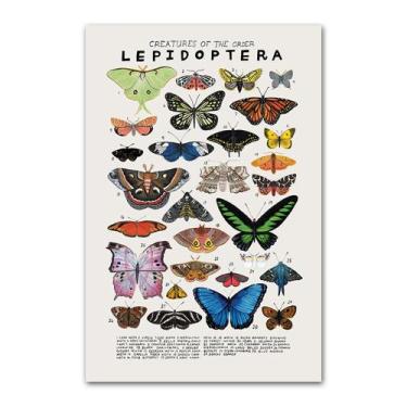 Imagem de Pôster educacional Lepidoptera Butterfly and Moth 40x60cm - taiyuanket