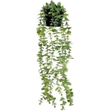 Imagem de Arranjo completo folhagem de eucalipto pendente verde com vaso - La Ca