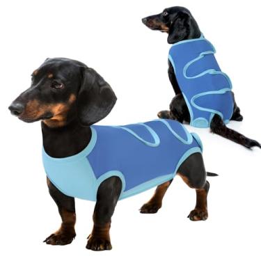 Imagem de Queenmore Macacão de recuperação de cirurgia para cães azul, M Dog Surgical Recovery Suit feminino, alternativa ao cone da vergonha, traje de recuperação de cirurgia para animais de estimação para