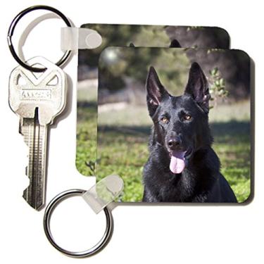 Imagem de 3dRose Portrait of A German Shepherd Dog NA02 ZMU0133 - Chaveiros, 5,7 x 5,7 cm, conjunto de 6 (kc_140413_3)