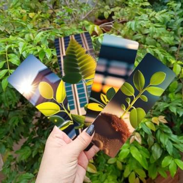 Imagem de Kit com 4 Marcadores de Paginas Plastificado Esolha o Seu Favorito (Folha, Centímetros)