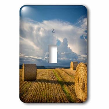 Imagem de 3dRose lsp_228082_1 Luz solar noturna em fardos de feno perto de Inverness, Highlands, Escócia Interruptor de interruptor único