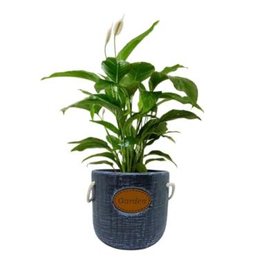 Imagem de Cachepot Decorativo Garden em Cerâmica para Vasos de Plantas (02 Preto)