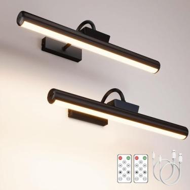 Imagem de Luz de imagem sem fio Skairipa 16" 5000mAh, controle remoto de 3 cores