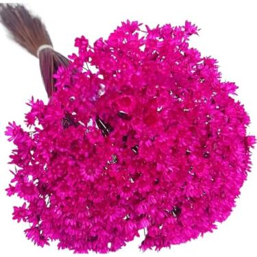 Imagem de Buquê de 300 Flores Secas Sempre Viva Mosquitinho – Mini Florzinhas Naturais para Arranjos e Decoração(Pink)