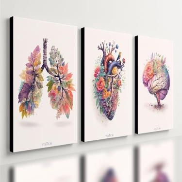 Imagem de Kit 3 Quadro Decorativo Coração Cérebro Pulmão Flores Medico Qualidade Premium Moderno (40x28cm)