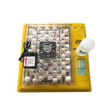 Imagem de Chocadeira Premium Ecologica Ip 70 220V