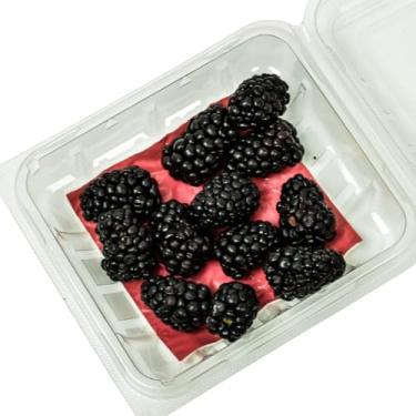 Imagem de Almofadas absorventes de umidade para recipientes de plástico microgreen e frutas – Pacote de 254 – 8,3 cm x 8,25 pol. – Serve para recipientes de concha de 1,5 litro e 1,5 litro