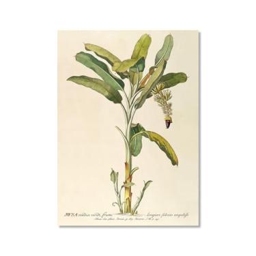 Imagem de Impressão botânica tropical vintage antigo palmeiras abacaxi pôster arte de parede pintura em tela imagem para sala de estar decoração de casa (SKU4,16x20" = (40x50 cm), sem moldura)