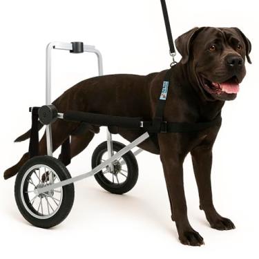 Imagem de Cadeira de Rodas para Cachorro Tamanho XXG Regulável Pet Best Soluções